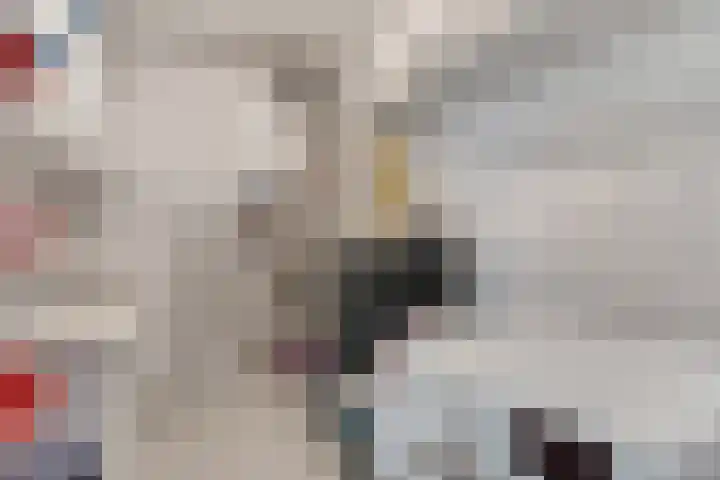 Appelenburg 17 Tuil thumbnail 33