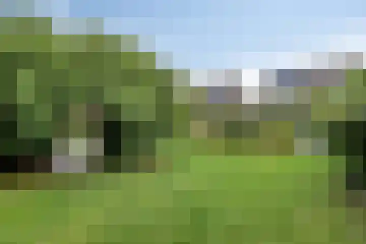 Appelenburg 17 Tuil thumbnail 38