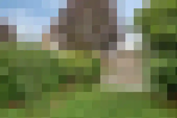 Appelenburg 17 Tuil thumbnail 39