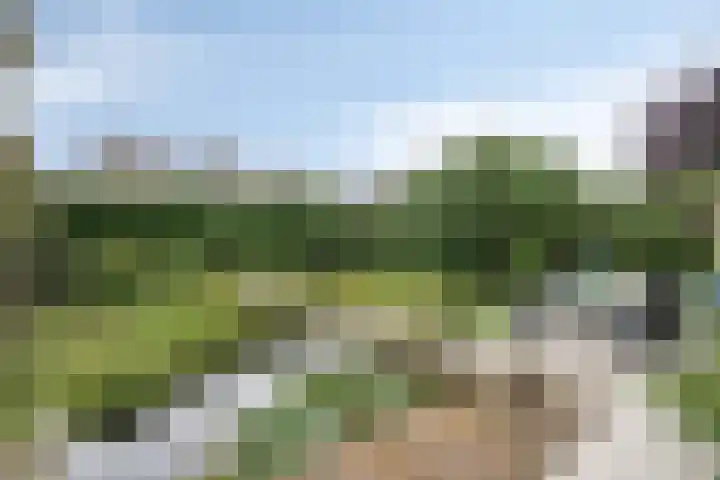 Appelenburg 17 Tuil thumbnail 41