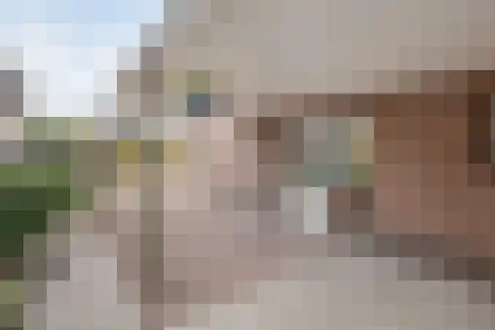 Appelenburg 17 Tuil thumbnail 42