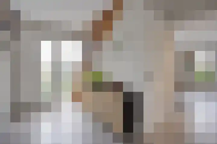 Appelenburg 17 Tuil thumbnail 6