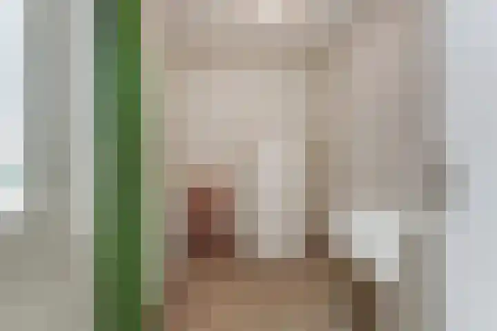Appelgaard 2 Arcen thumbnail 12