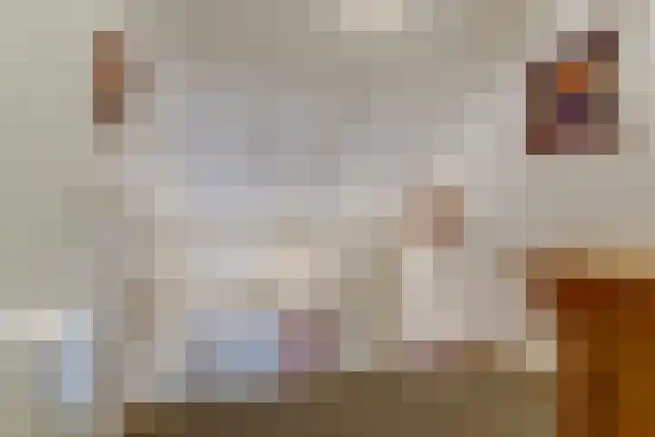 Appelgaard 2 Arcen thumbnail 18