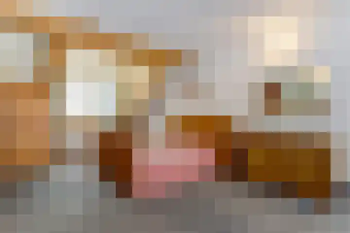 Appelgaard 2 Arcen thumbnail 21