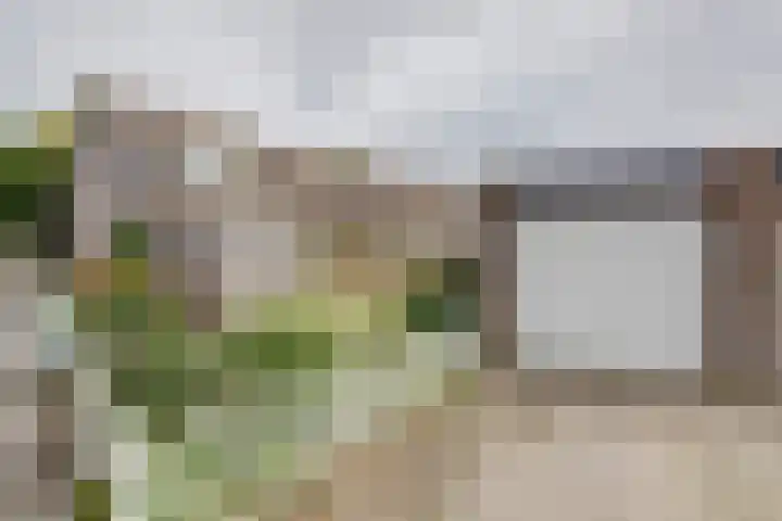 Appelgaard 2 Arcen thumbnail 26