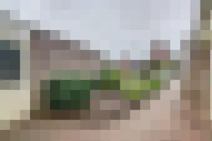 Appelgaard 2 Arcen thumbnail 29