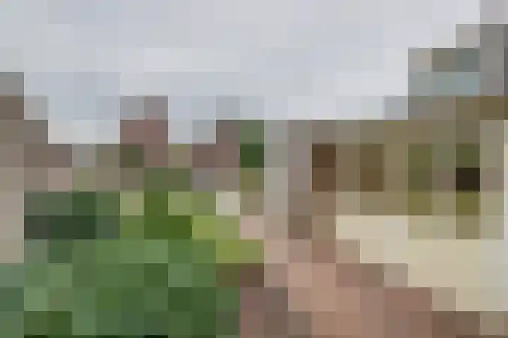 Appelgaard 2 Arcen foto 3