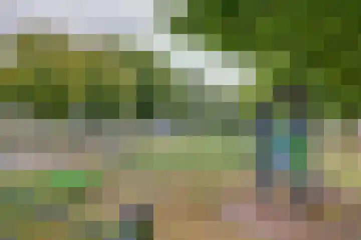 Appelgaard 2 Arcen thumbnail 39