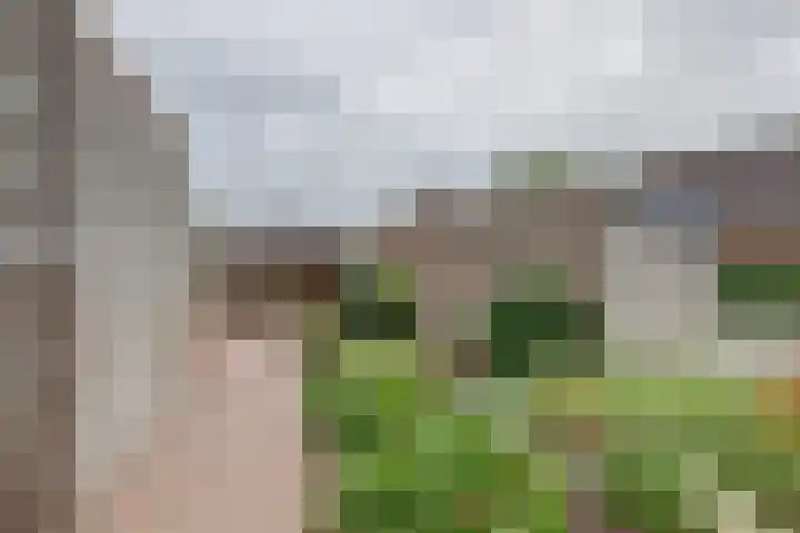Appelgaard 2 Arcen thumbnail 4