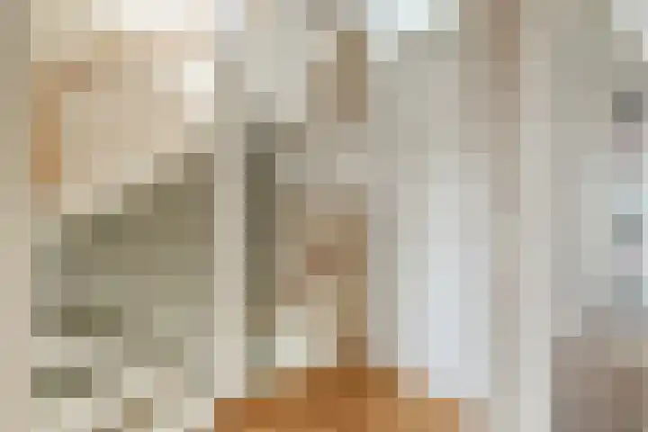 Appelgaard 2 C Heerjansdam thumbnail 14