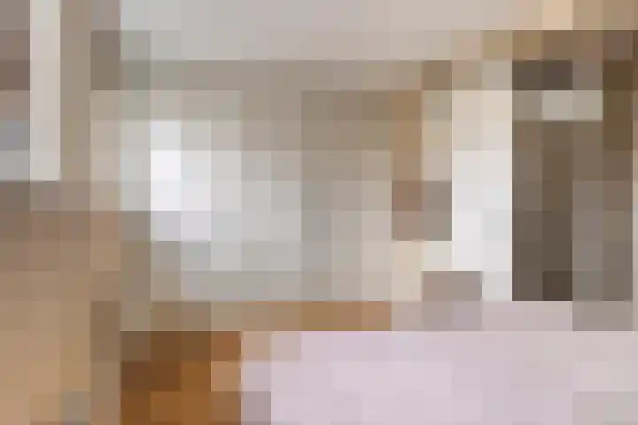 Appelgaard 2 C Heerjansdam thumbnail 16