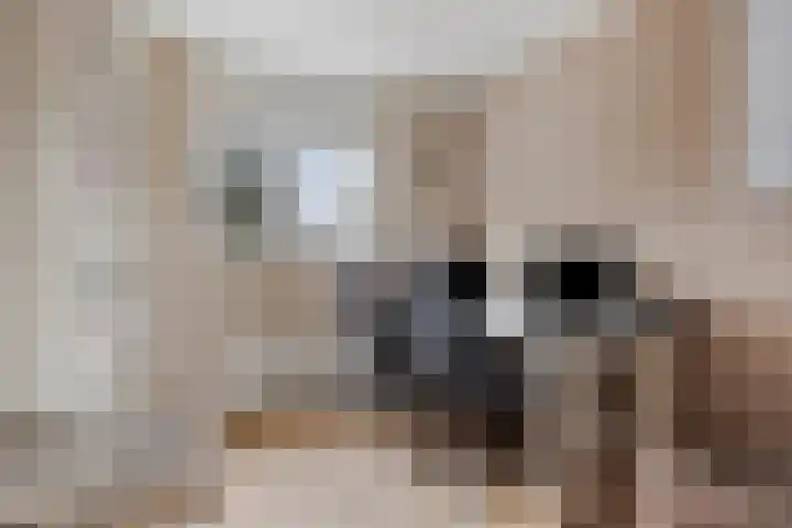 Appelgaard 2 C Heerjansdam thumbnail 19