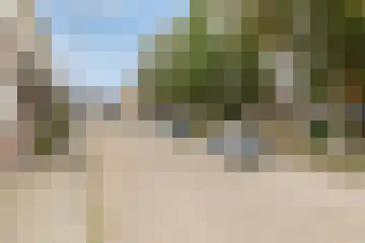 Appelgaard 2 C Heerjansdam thumbnail 27