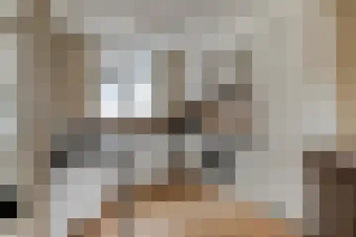 Appelgaard 2 C Heerjansdam thumbnail 9