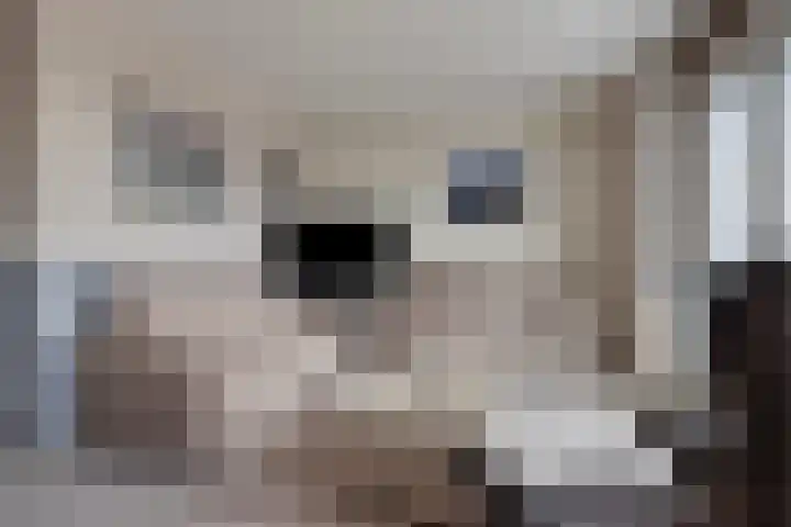 Appelgaard 28 Kapelle thumbnail 12