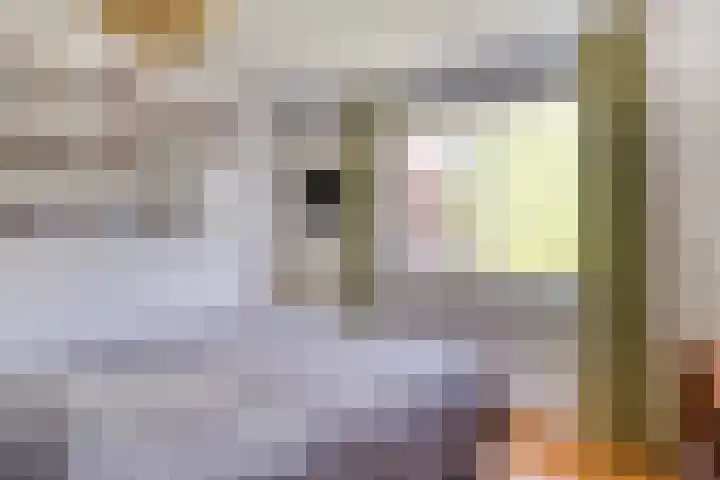 Appelgaard 41 Elst thumbnail 18