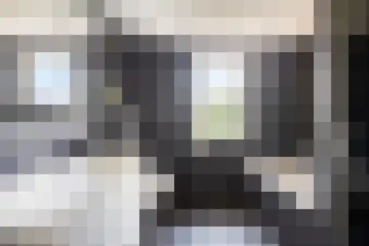 Appelgaard 41 Elst thumbnail 19