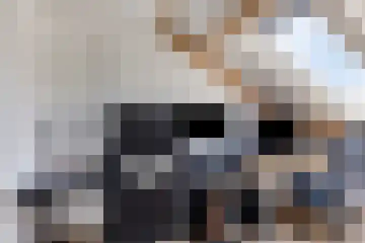 Appelgaard 41 Elst thumbnail 30