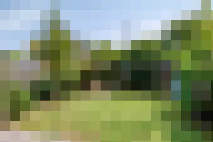 Appelgaard 41 Elst thumbnail 34