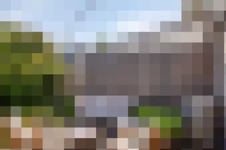 Appelgaard 41 Elst thumbnail 35