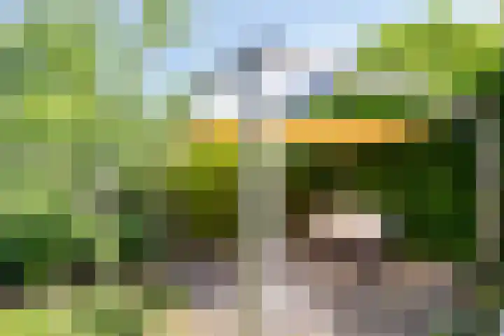 Appelgaard 41 Elst thumbnail 36