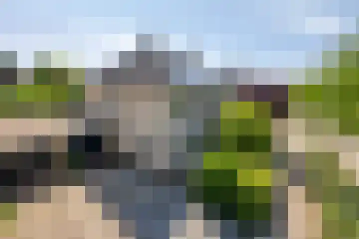 Appelgaard 41 Elst thumbnail 37