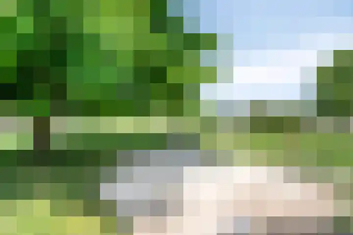 Appelgaard 41 Elst thumbnail 38