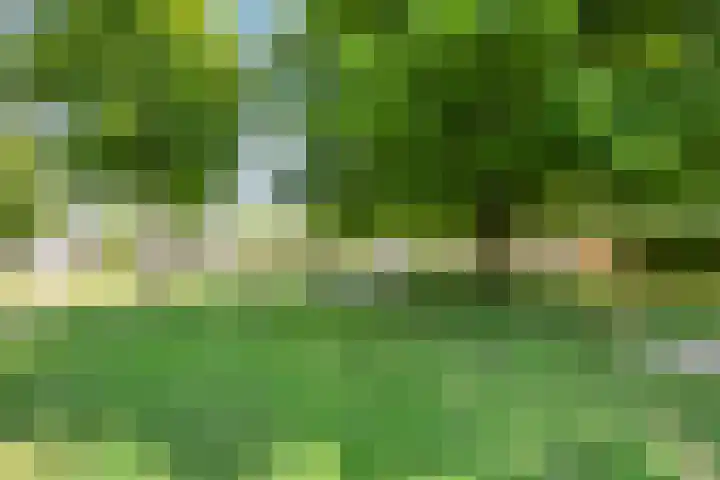 Appelgaard 41 Elst thumbnail 39