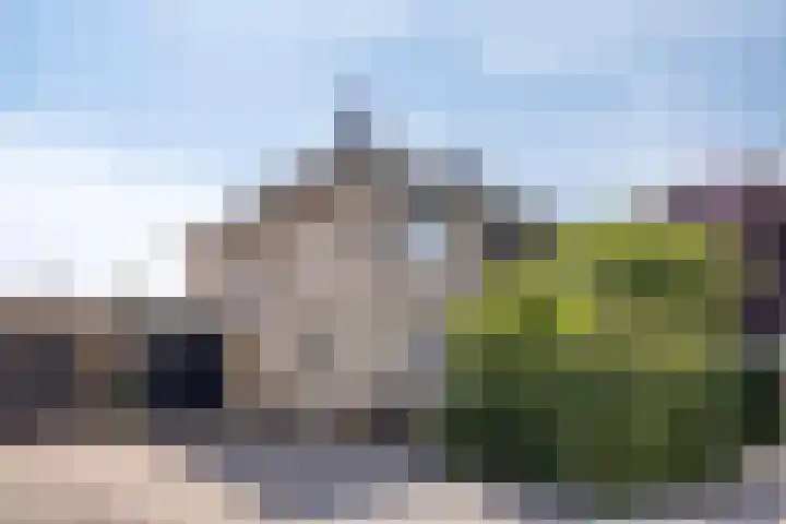 Appelgaard 41 Elst thumbnail 4