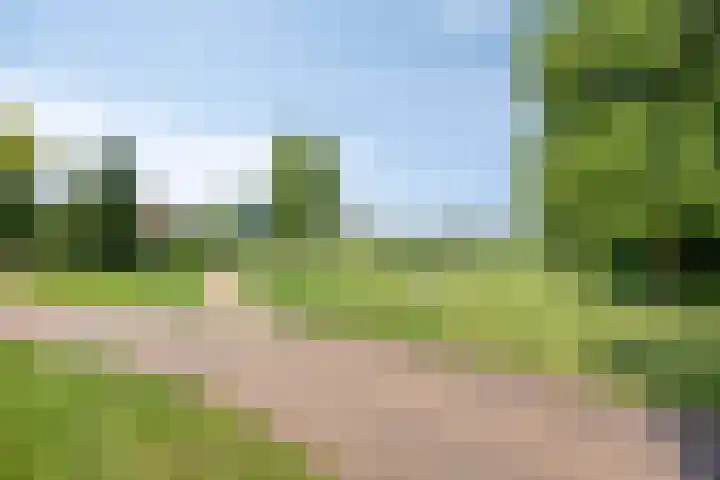 Appelgaard 41 Elst thumbnail 40