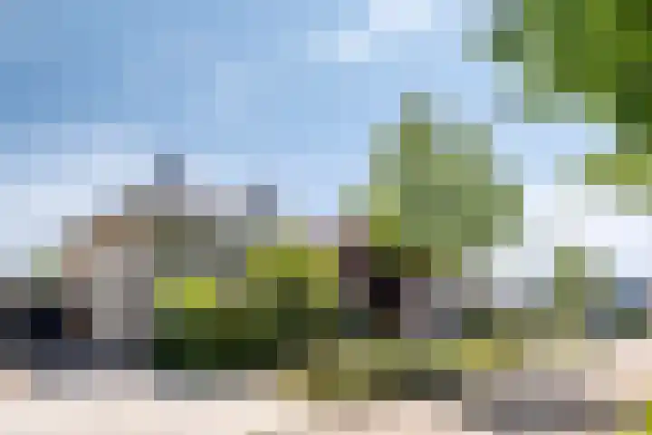Appelgaard 41 Elst thumbnail 45