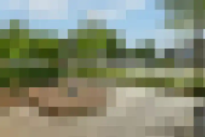 Appelgaard 48 Elst thumbnail 10