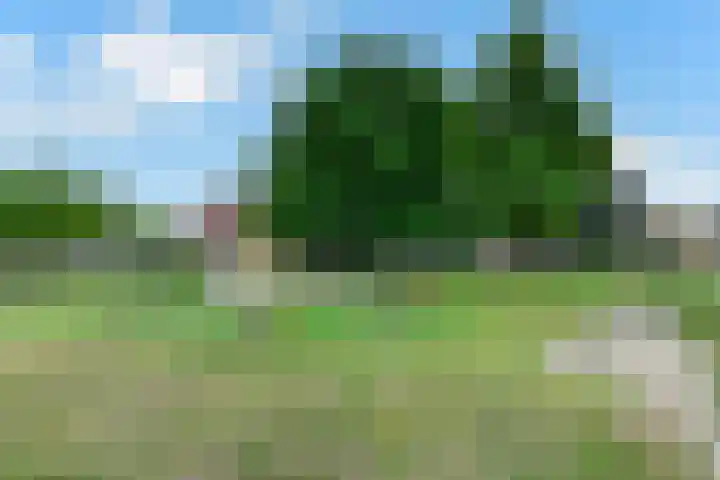 Appelgaard 48 Elst thumbnail 12