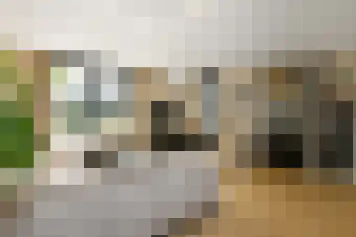 Appelgaard 48 Elst thumbnail 18