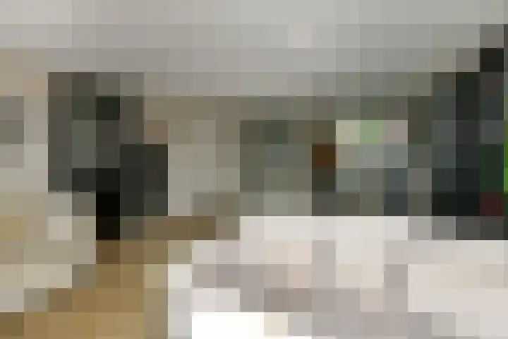 Appelgaard 48 Elst thumbnail 20