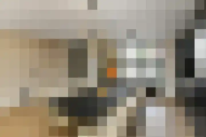 Appelgaard 48 Elst thumbnail 22