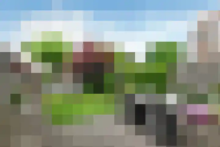 Appelgaard 48 Elst thumbnail 44