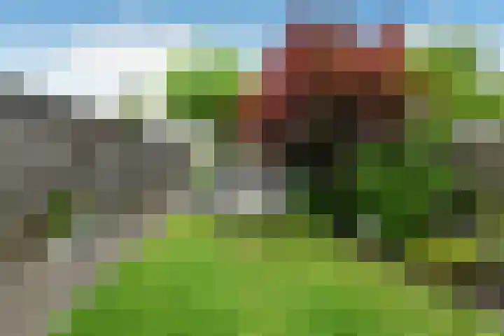 Appelgaard 48 Elst thumbnail 45