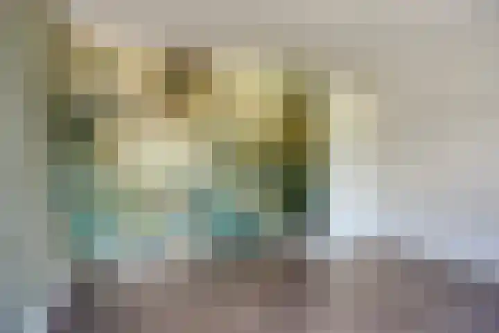 Appelgaard 51 Elst thumbnail 17