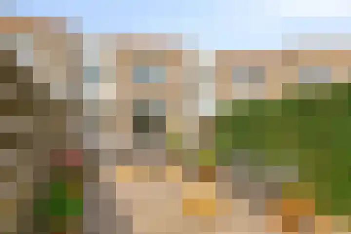 Appelgaard 51 Elst thumbnail 25