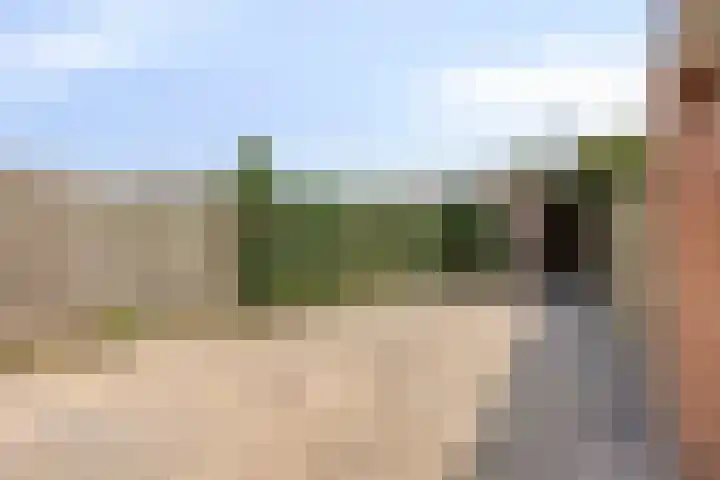 Appelgaard 51 Elst thumbnail 26