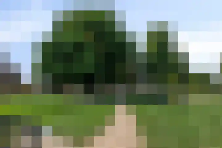 Appelgaard 51 Elst thumbnail 32