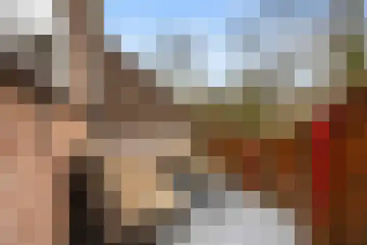 Appelgaarde 13 Houten thumbnail 26