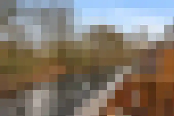 Appelgaarde 13 Houten thumbnail 28