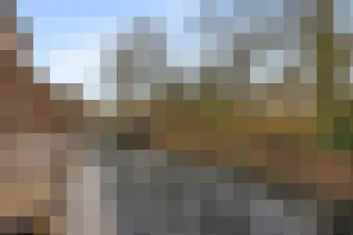 Appelgaarde 13 Houten thumbnail 29