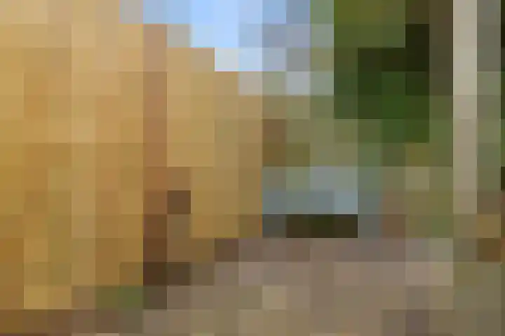 Appelgaarde 13 Houten thumbnail 56