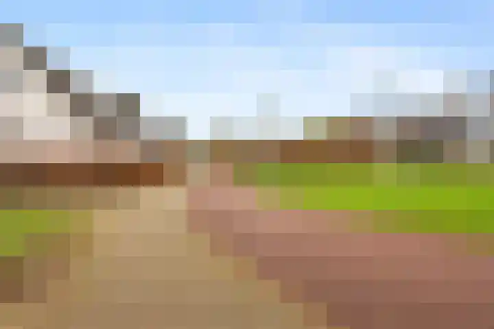 Appelgaarde 13 Houten thumbnail 60