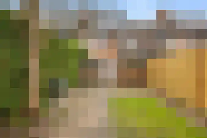 Appelgaarde 13 Houten thumbnail 7