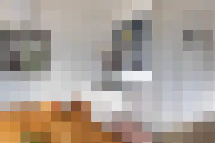 Appelgaarde 4 Rozenburg thumbnail 17